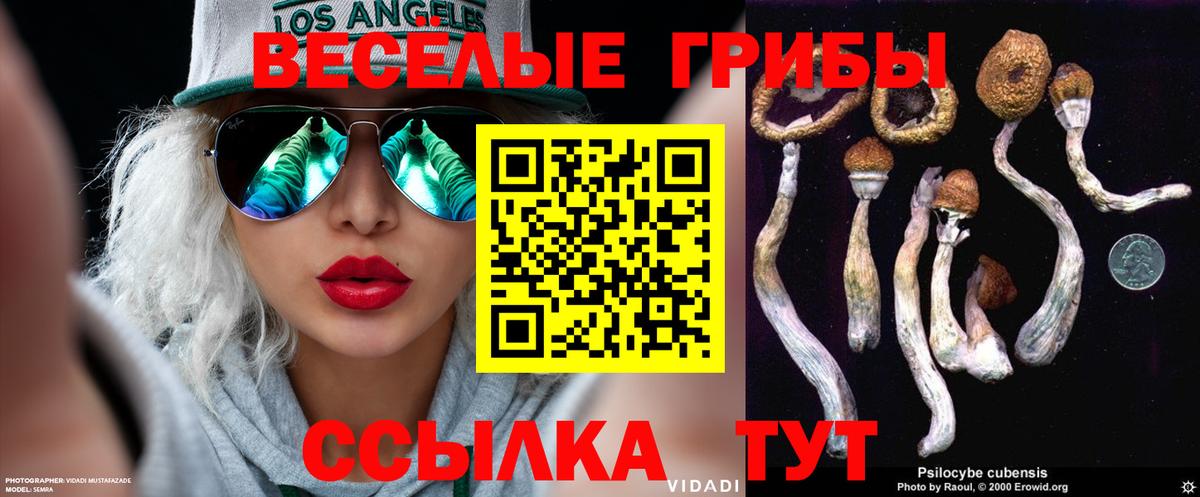 Псилоцибиновые грибы ЛСД Комсомольск-на-Амуре
